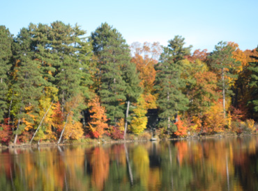 callahanlake_fallview